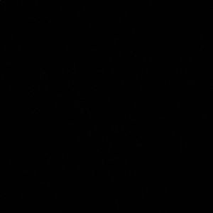 Meet your Posher, Alizakir